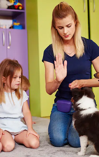 curso de terapia asistida con animales